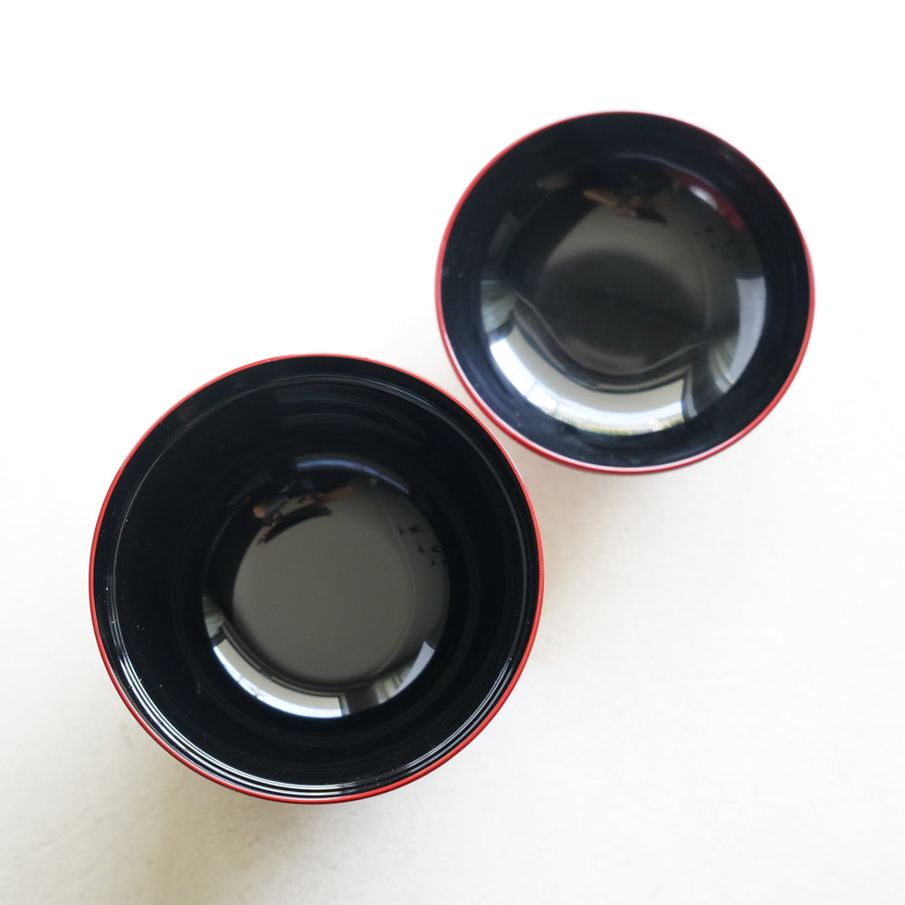 RED CHRYSANTHEMUM FILLED DESIGN WITH BLACK INTERIOR PLATE