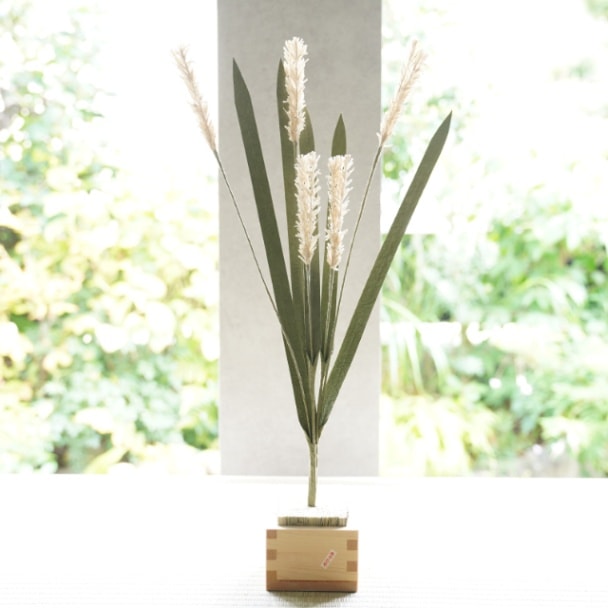 Washi pampas grass in hinoki box