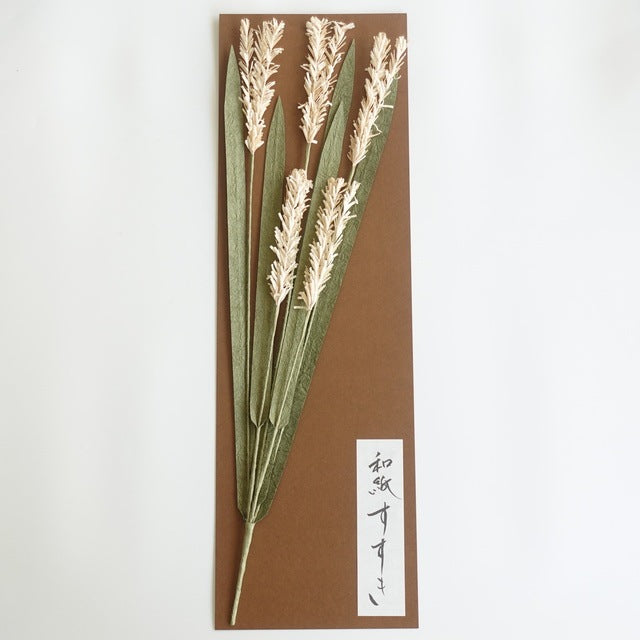 WASHI PAMPAS GRASS – WITH HINOKI BOX