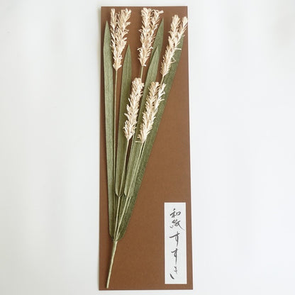 WASHI PAMPAS GRASS – WITH HINOKI BOX
