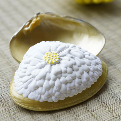 CHRYSANTHEMUM CLAM BOX – LARGE, HAND-RAISED GOFUN