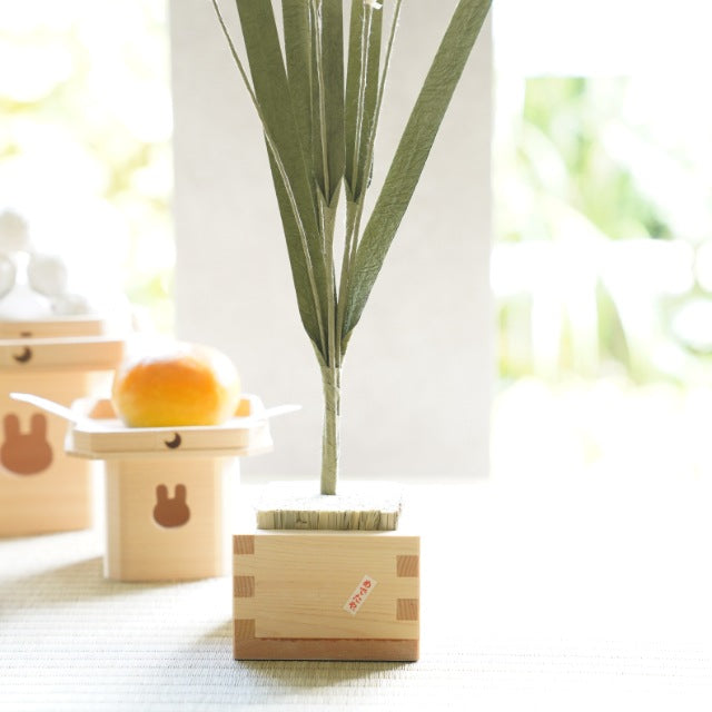 WASHI PAMPAS GRASS – WITH HINOKI BOX