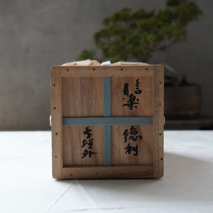 SHIGARAKI SAKE SET (HIDARI-UMA) BY SADAMITSU SUGIMOTO