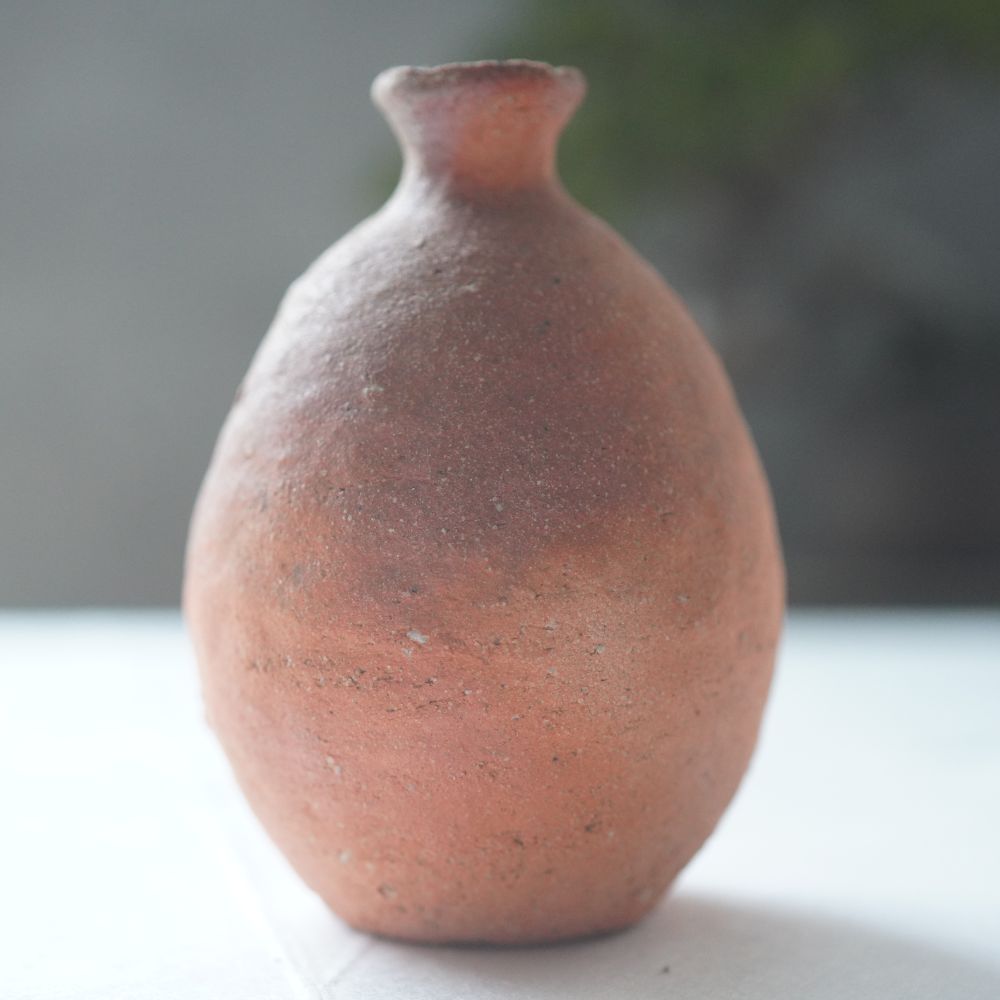 SHIGARAKI SAKE SET (HIDARI-UMA) BY SADAMITSU SUGIMOTO