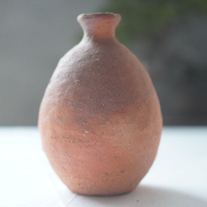 SHIGARAKI SAKE SET (HIDARI-UMA) BY SADAMITSU SUGIMOTO