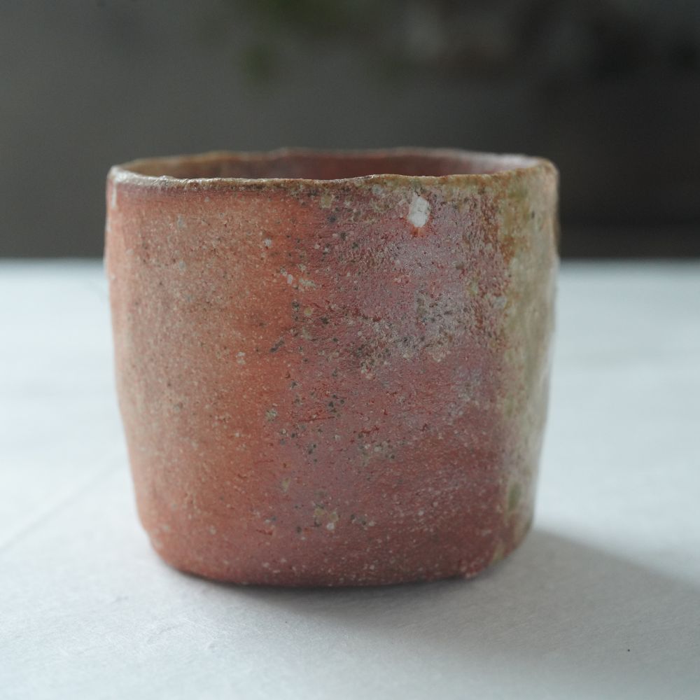 SHIGARAKI SAKE SET (HIDARI-UMA) BY SADAMITSU SUGIMOTO