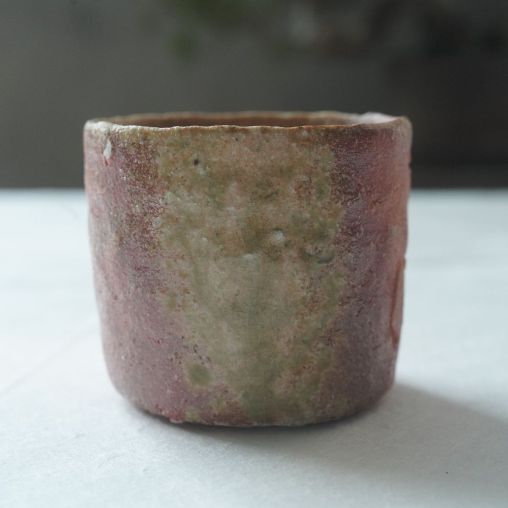 SHIGARAKI SAKE SET (HIDARI-UMA) BY SADAMITSU SUGIMOTO